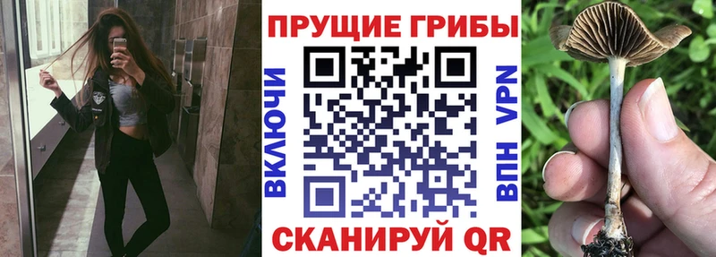 Галлюциногенные грибы ЛСД  Вилюйск 